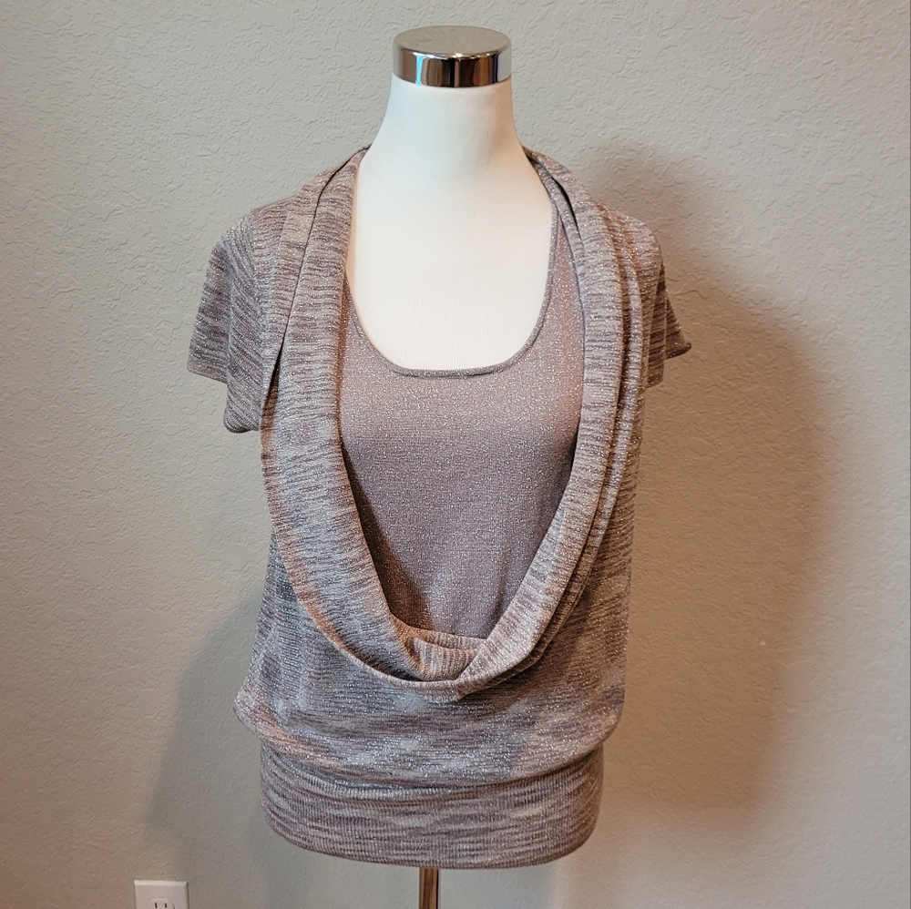 INC Short Sleeve Silver/Gold Scoop Neck Sweater